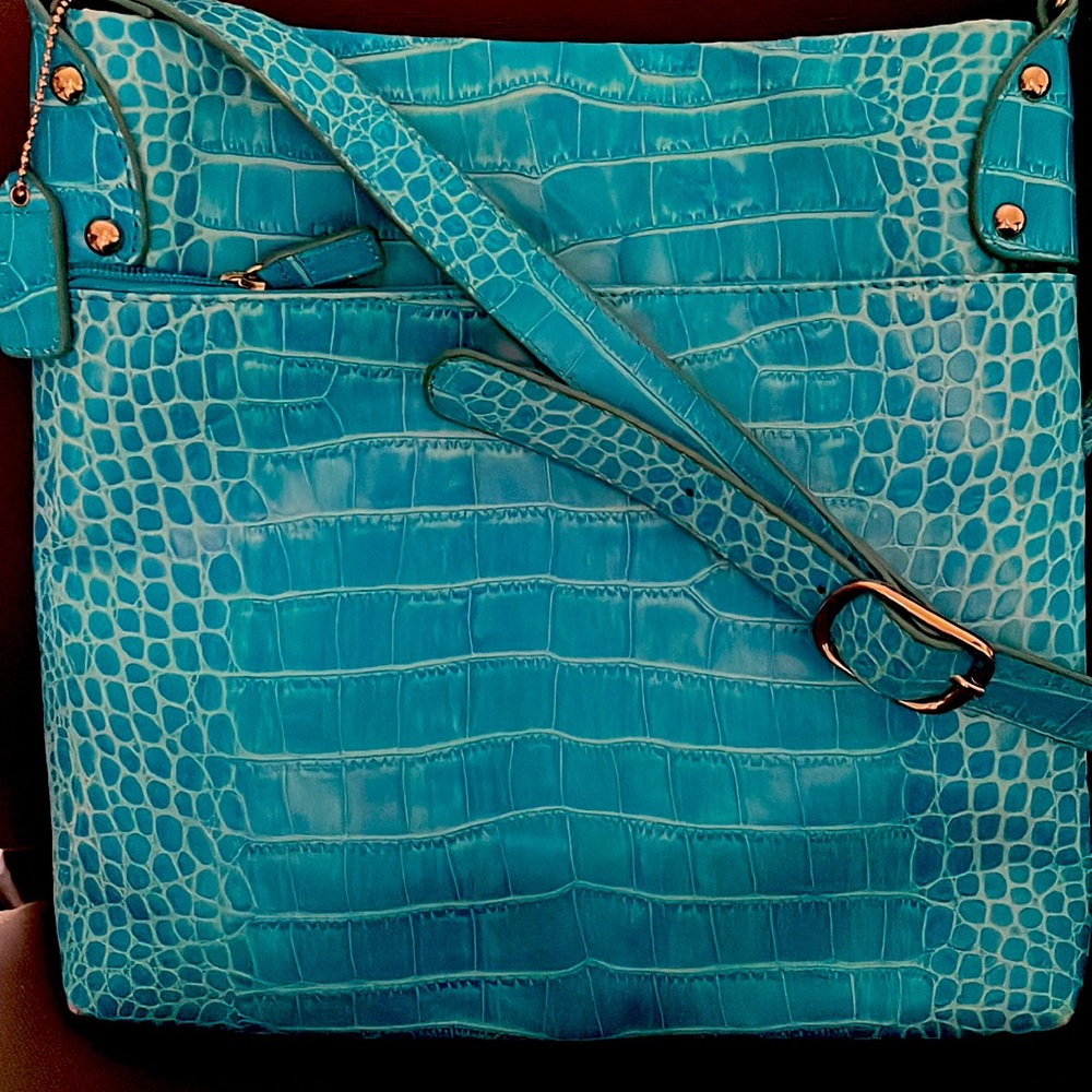 Danier Leather Crossbody Bag from Canada